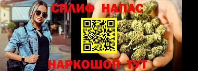 наркотики Будённовск