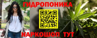 наркотики Будённовск
